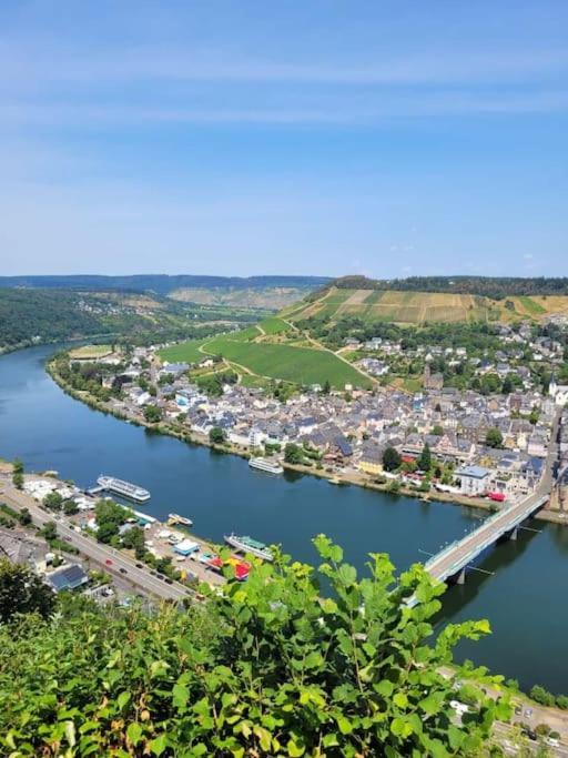 Weinberg Idyllische Ruhe, Nahe Den Weinbergen *